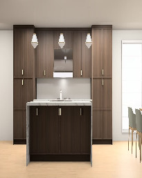 Bo2006 Cabinet